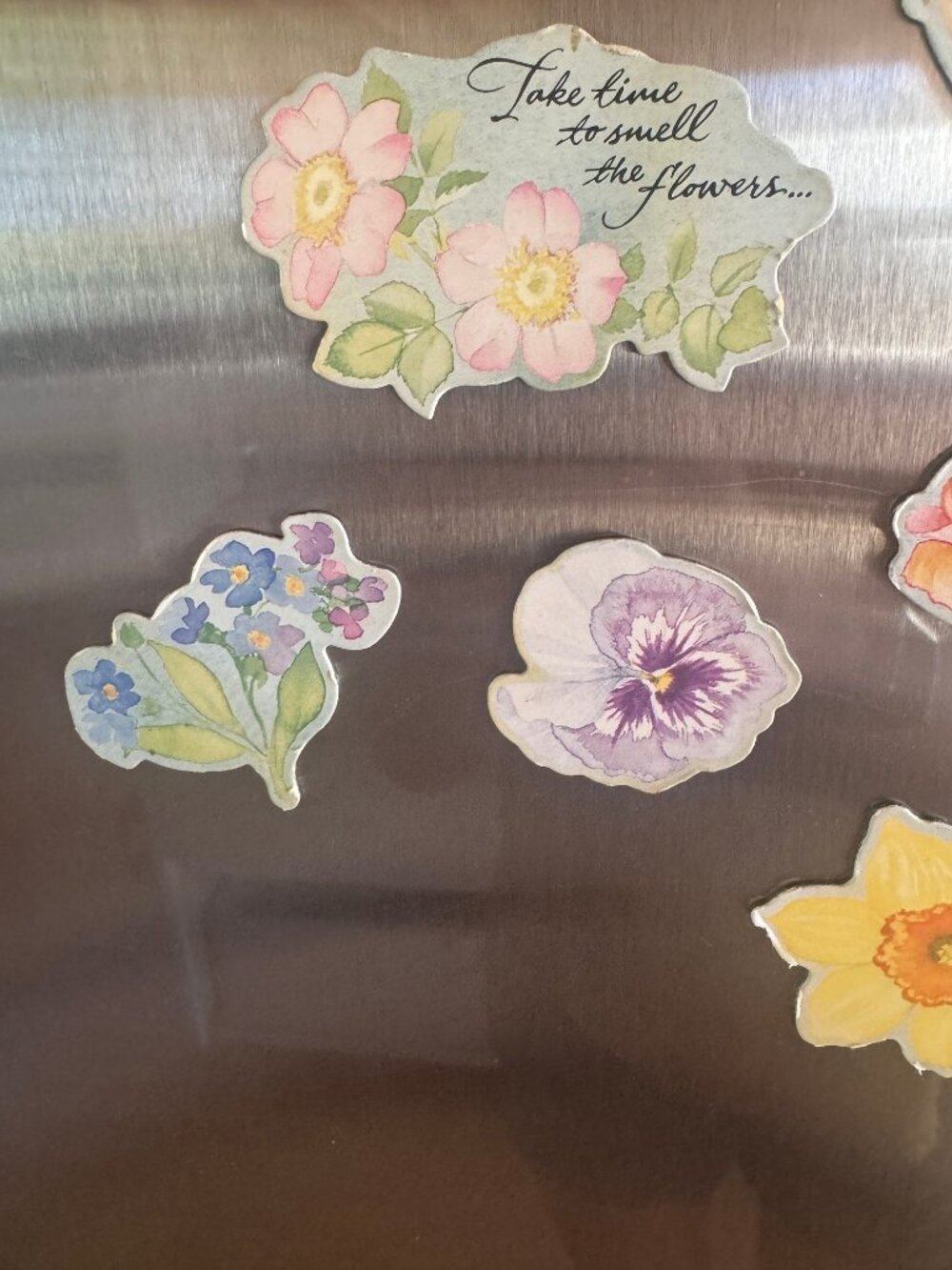 Vintage Floral Fridge Magnet Set - 8pc Watercolor Botanical & Butterfly - Picture 6 of 7